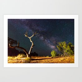 Tree Trunk Under Milky Way in Desert Art Print