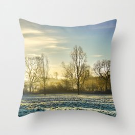 Frosty morning Throw Pillow