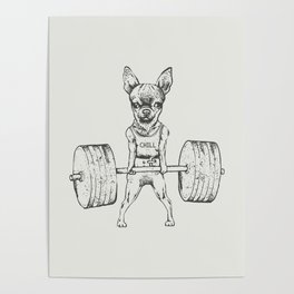 Chihuahua Lift Poster