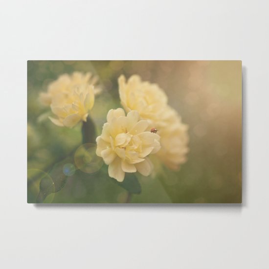 “Every man's life is a fairy tale written by God's fingers” -- Hans Christian Andersen Metal Print