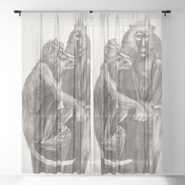Monkey couple illustration Sheer Curtain