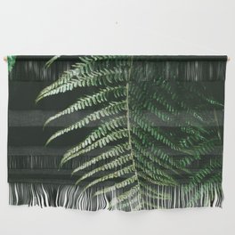 Brazil Photography - Beautiful Fern In The Dark And Dense Jungle Wall Hanging