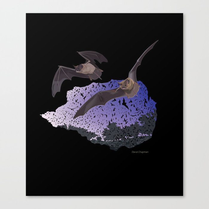 Bracken Cave Bats Canvas Print