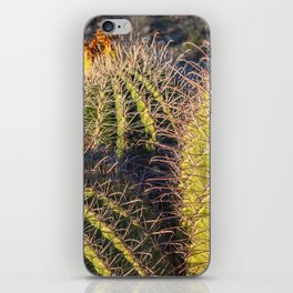 Barrel Cacti iPhone Skin