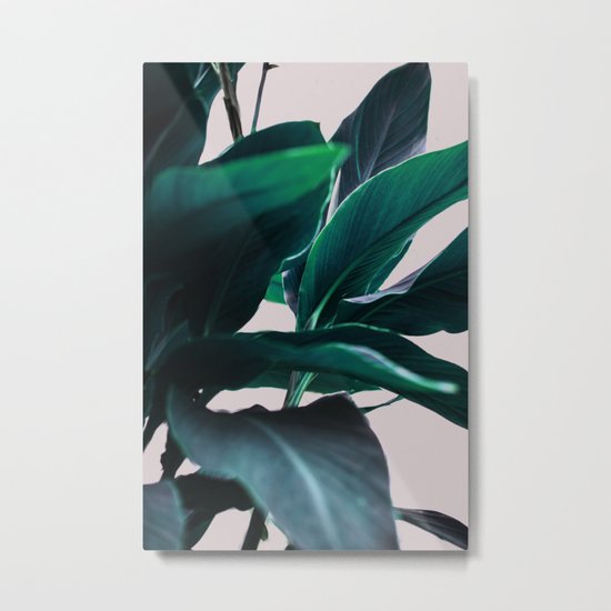Leaves 4 Metal Print