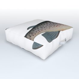 Male-Salmon (Salmo Salar Mas) from Ichtylogie ou Histoire naturelle generale et particuliere des poi Outdoor Floor Cushion