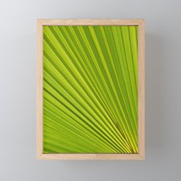 Palm leaf and Mediterranean sunlight 2 Framed Mini Art Print