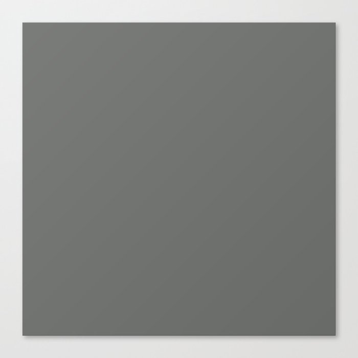 MOUSE GREY COLOR. Dark Neutral Solid Color  Canvas Print