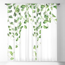 Golden Pothos - Ivy Blackout Curtain