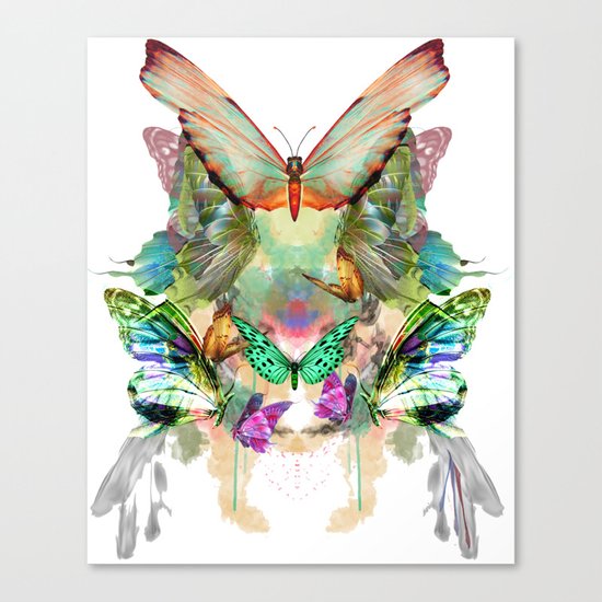 The fate of the butterfly Canvas Print
