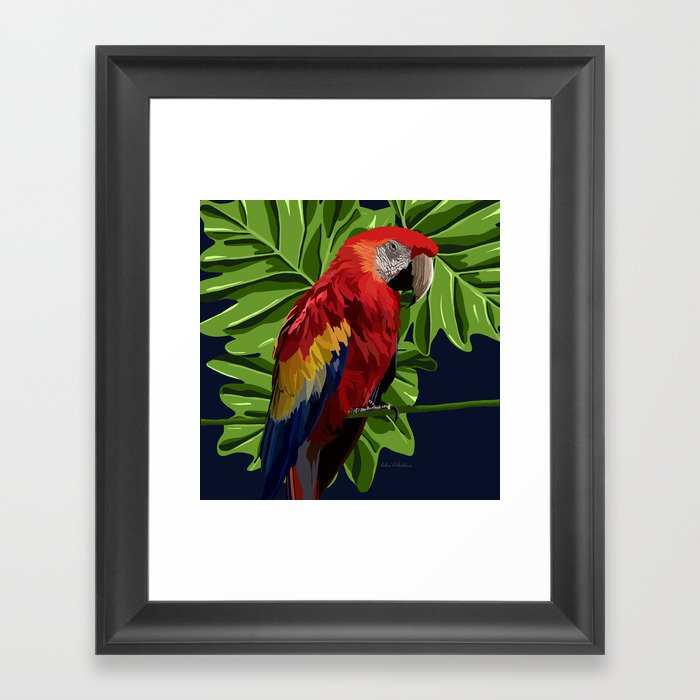 Parrot  Framed Art Print