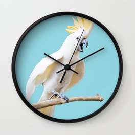 Cockatoo photograph | Cockateil digital art Wall Clock