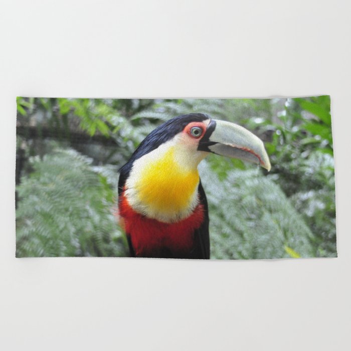 Brazil Photography - Colorful Toucan Sitting On A Branch In The Jungle Beach Towel
