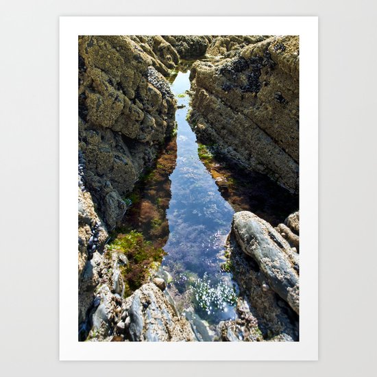 Rock pool Art Print