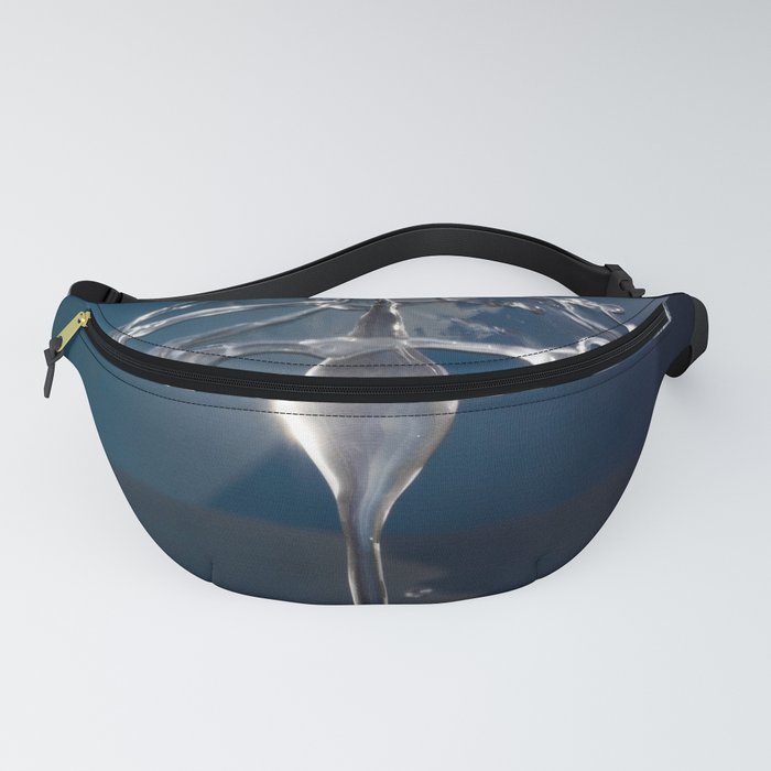 water Fanny Pack