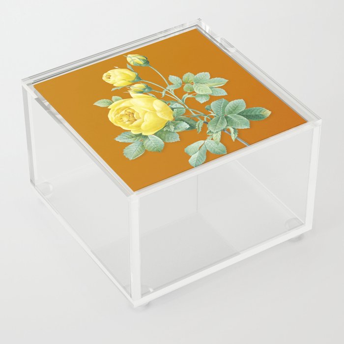 Vintage Yellow Rose Botanical Illustration on Bright Orange Acrylic Box