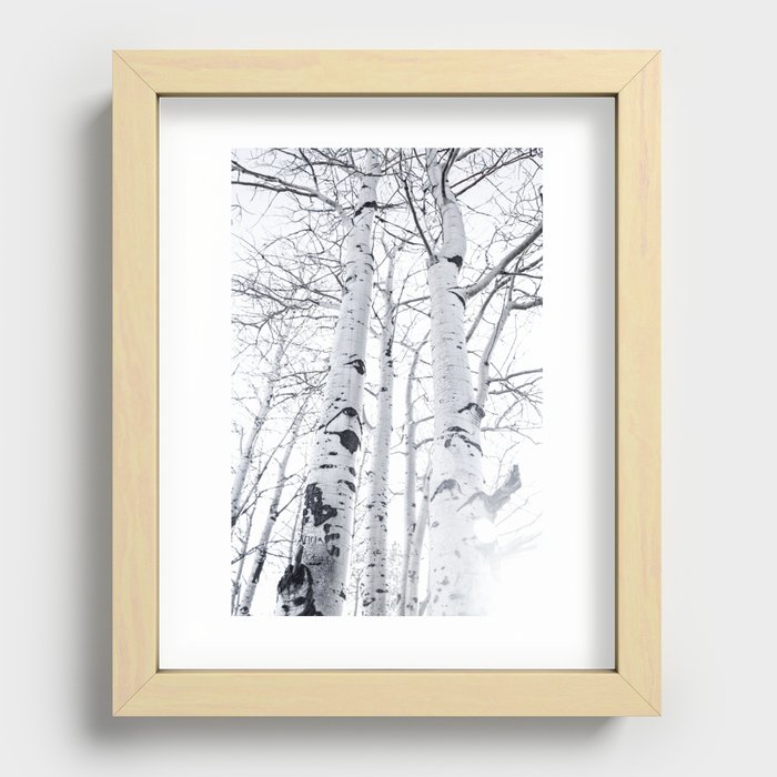 White Trees 3 Recessed Framed Print