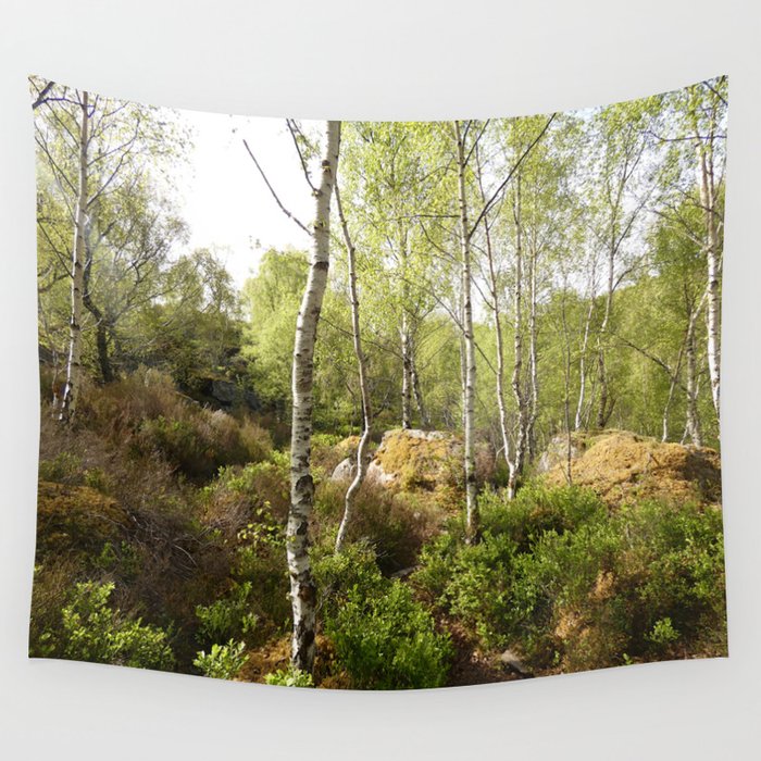 Scottish Highlands Spring Light in a Birch Woodland Wall Tapestry