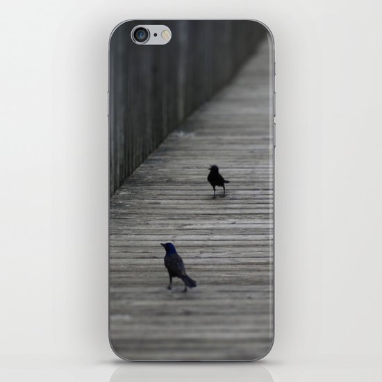 Black Birds iPhone & iPod Skin