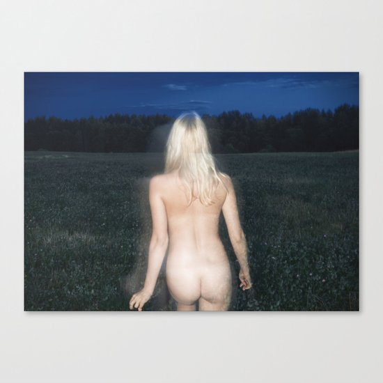 Night Meadow Canvas Print