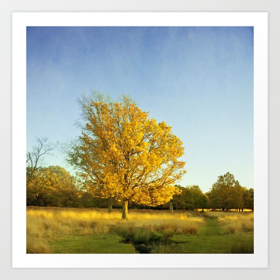 Yellow Art Print
