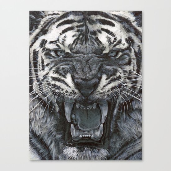 Tiger Roar! - By Julio Lucas Canvas Print