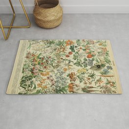 Fleurs by Adolphe Millot Area & Throw Rug