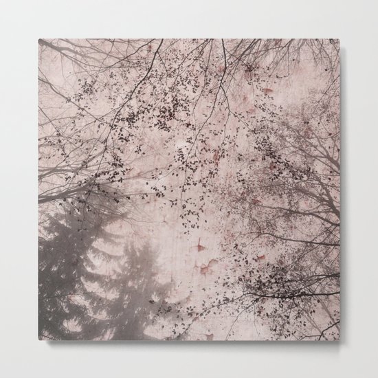 SILENT FOREST 4 Metal Print