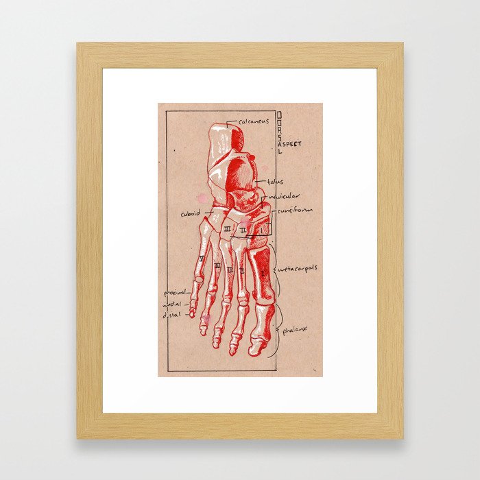 Skeleton Foot Framed Art Print
