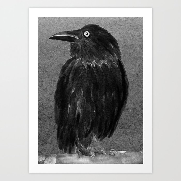 Australian Raven Art Print