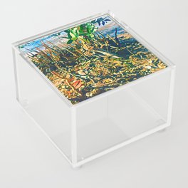 Shore Treasure Acrylic Box