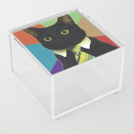 Cat Meme Acrylic Box