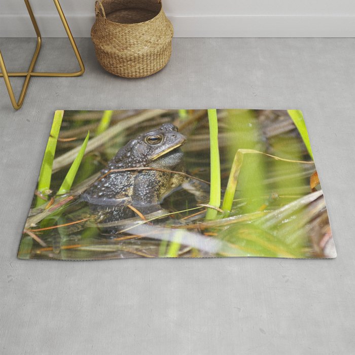 Toad in the pond Rug