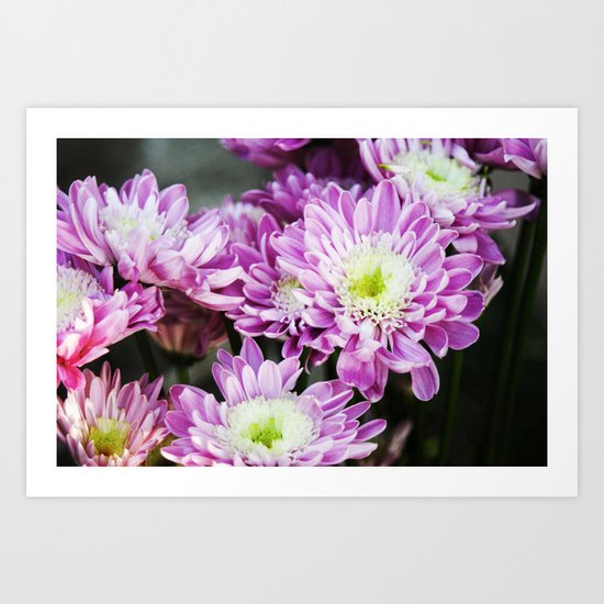 Purple Flowers Art Print