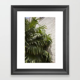 Palms Framed Art Print