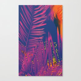 Pink Palms With Fireworks Canvas Print