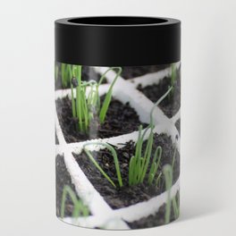 Brazil Photography - Tons Of Planted Chives Can Cooler