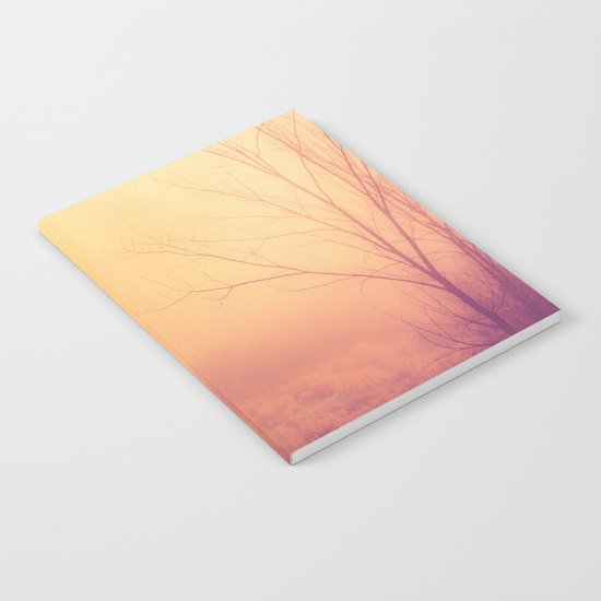 What If We Could Notebook