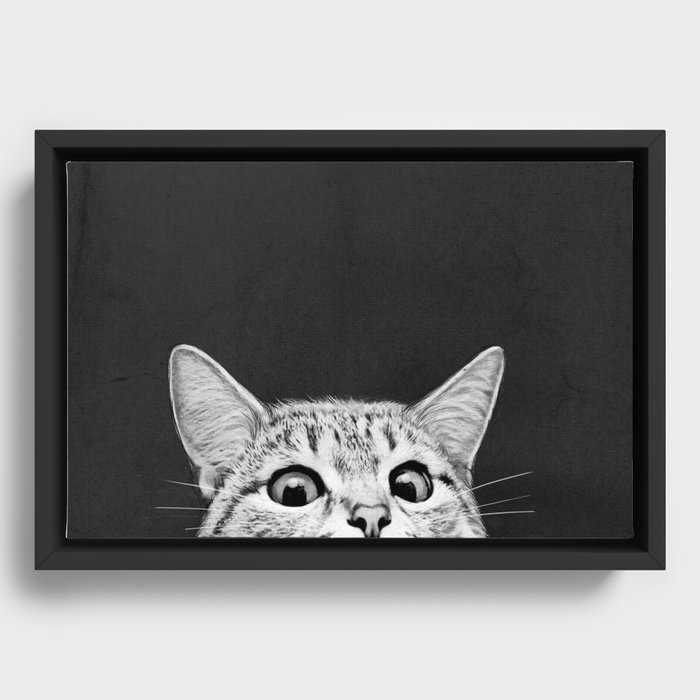Framed Canvas