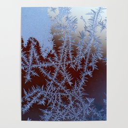Winter leann snow christmas nature Poster