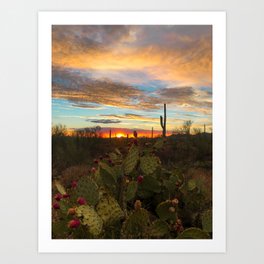 Cacti Sunset Art Print