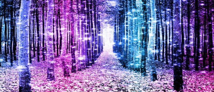 Magical Forest Aqua Periwinkle Purple Pink Ombre Sparkle
