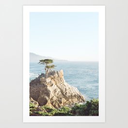 The Lone Cypress in Big Sur California, California Photography, Landscape Photography, Nature Art  Art Print