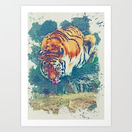 Bengal Tiger Art Prints Society6