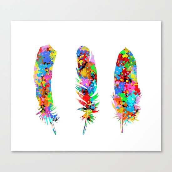 colorful feathers Canvas Print