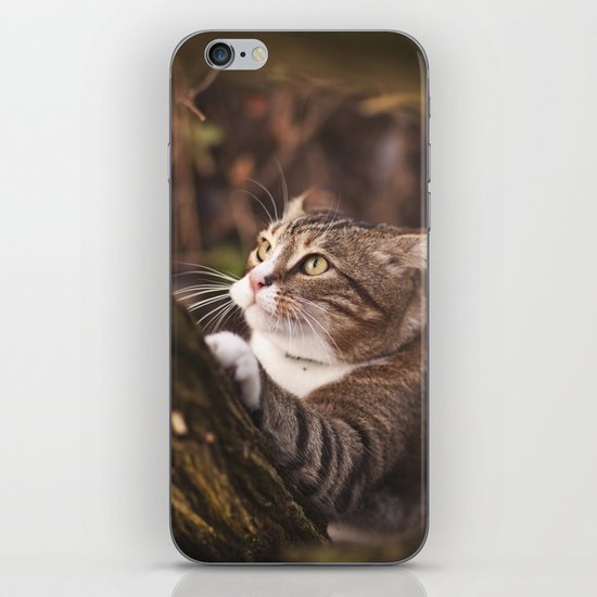 Chrapcio the Fierce iPhone & iPod Skin