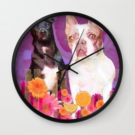 Buddha and Izzy Wall Clock | Dogart, Hleighart, Photo, Flowers, Springtime, Digital, Colorful, Digital Manipulation 