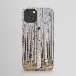 Trees of Reason - Birch Forest iPhone Case