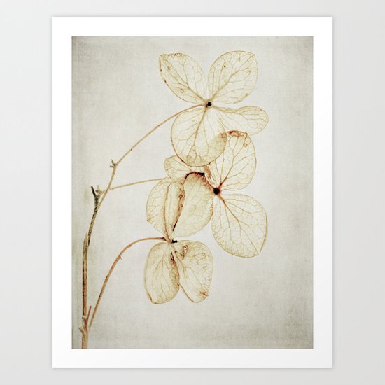fading Art Print
