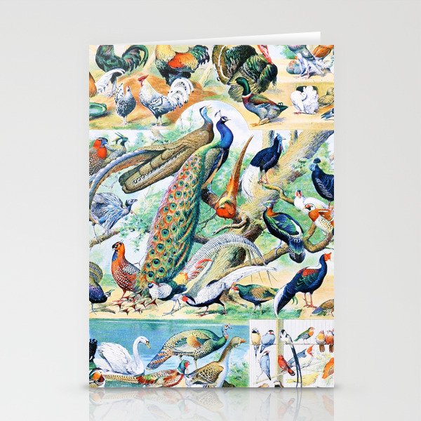 Adolphe Millot "Birds" 3. Stationery Cards